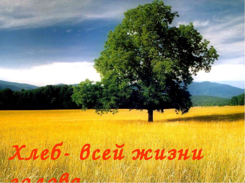 Хлеб- всей жизни голова  - Скачать презентации бесплатно | Читать или скачать учебники для школы онлайн бесплатно ☑ Школьные учебники school-textbook.com