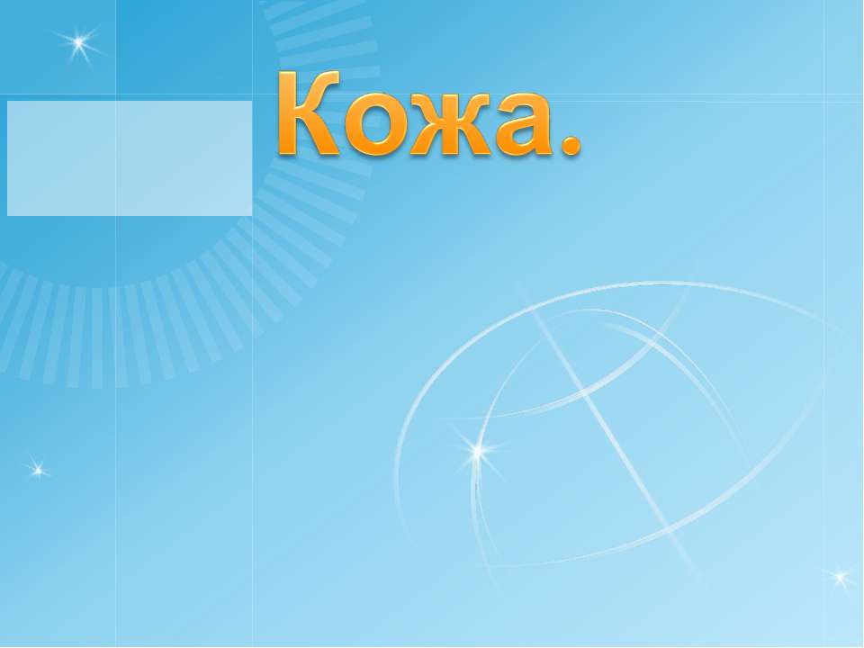 Кожа  - Скачать презентации бесплатно | Читать или скачать учебники для школы онлайн бесплатно ☑ Школьные учебники school-textbook.com