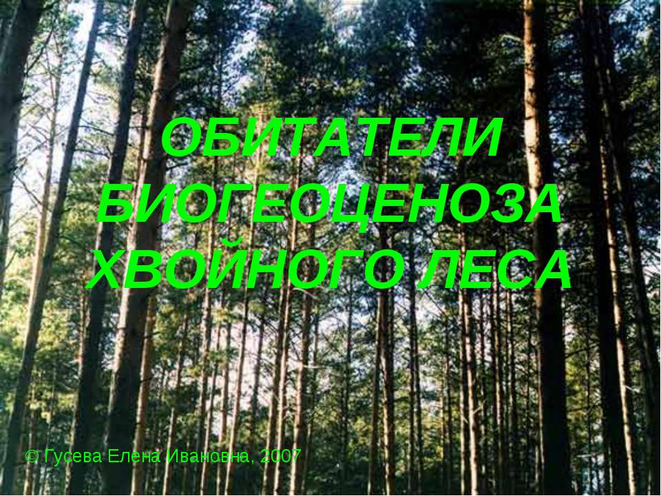 Обитатели биогеоценоза хвойного леса  - Скачать презентации бесплатно | Читать или скачать учебники для школы онлайн бесплатно ☑ Школьные учебники school-textbook.com