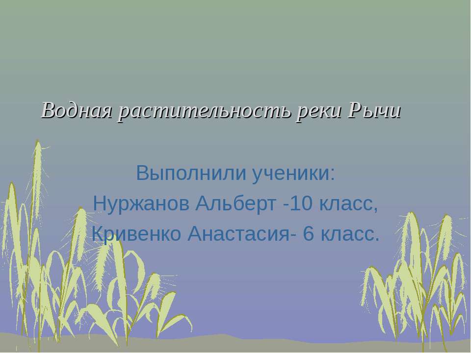 Водная растительность реки Рычи  - Скачать презентации бесплатно | Читать или скачать учебники для школы онлайн бесплатно ☑ Школьные учебники school-textbook.com
