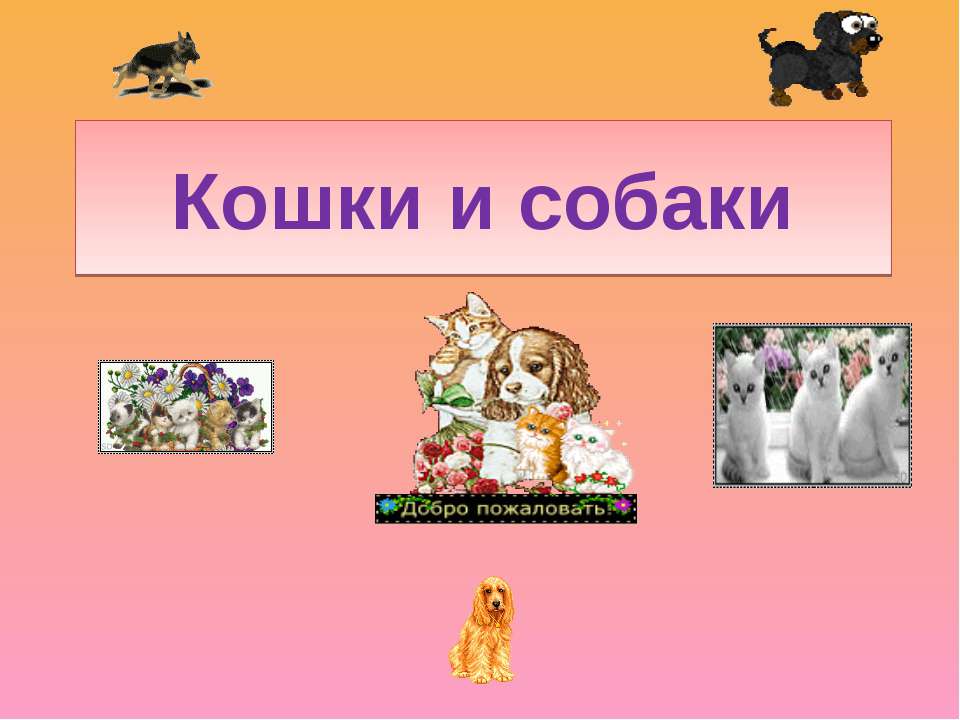 Кошки и собаки  - Скачать презентации бесплатно | Читать или скачать учебники для школы онлайн бесплатно ☑ Школьные учебники school-textbook.com