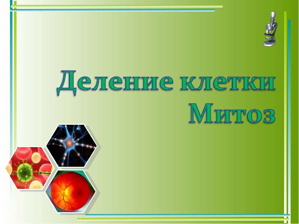 Деление клетки Митоз  - Скачать презентации бесплатно | Читать или скачать учебники для школы онлайн бесплатно ☑ Школьные учебники school-textbook.com