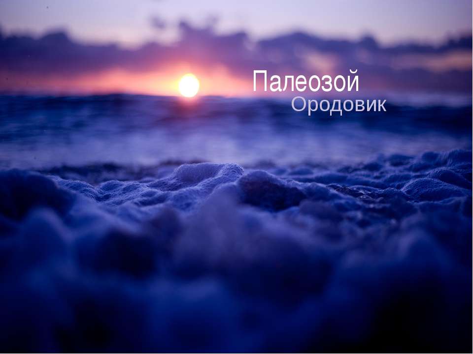 Палеозой. Ордовик - Скачать презентации бесплатно ☑ Презентации по предметам на gdz-books.ru