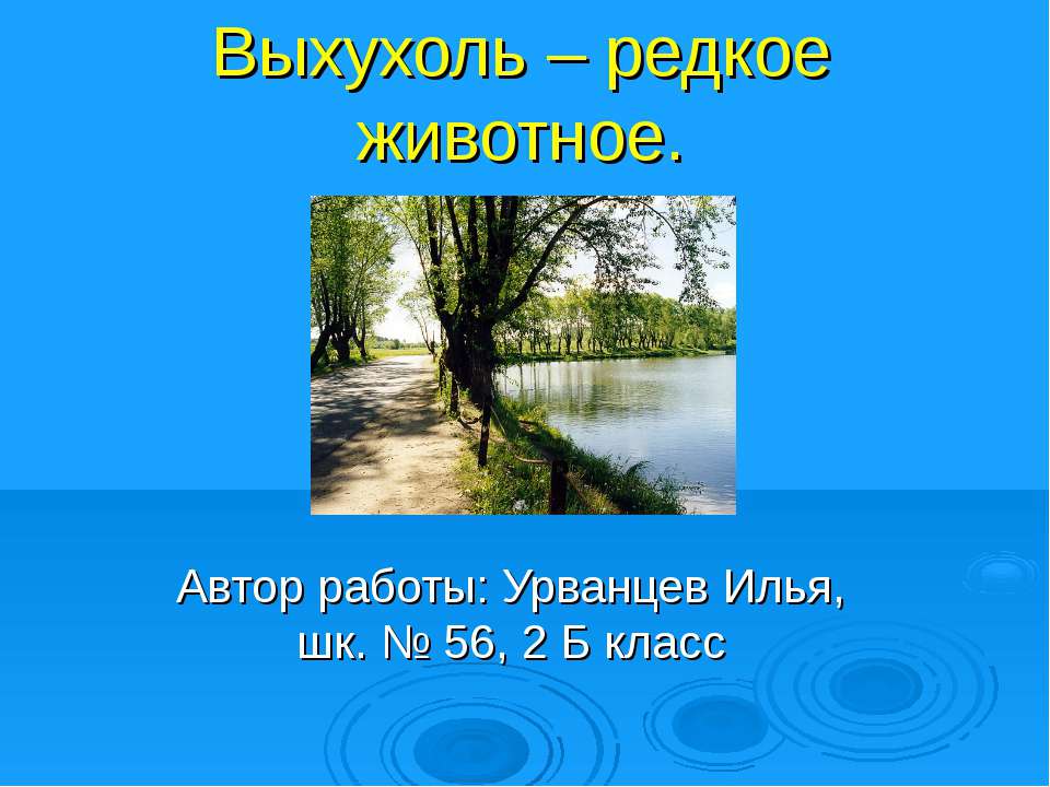Выхухоль – редкое животное  - Скачать презентации бесплатно | Читать или скачать учебники для школы онлайн бесплатно ☑ Школьные учебники school-textbook.com