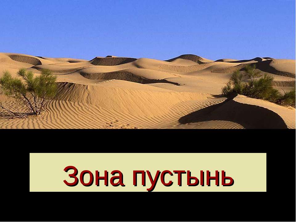 Зона пустынь  - Скачать презентации бесплатно | Читать или скачать учебники для школы онлайн бесплатно ☑ Школьные учебники school-textbook.com