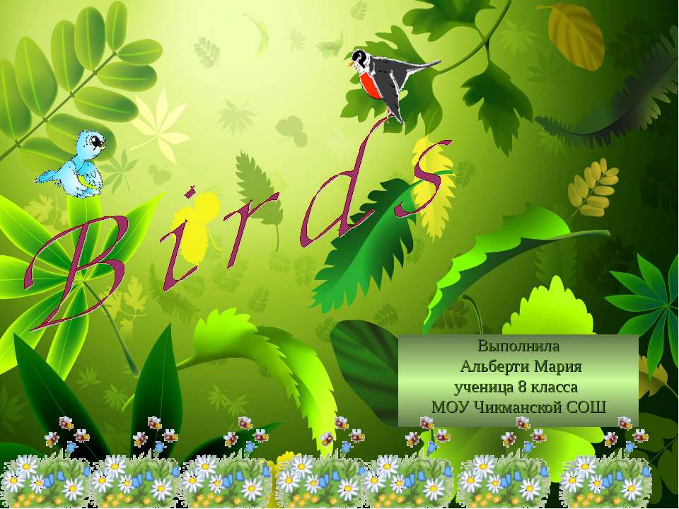 Birds - Скачать презентации бесплатно ☑ Презентации по предметам на gdz-books.ru