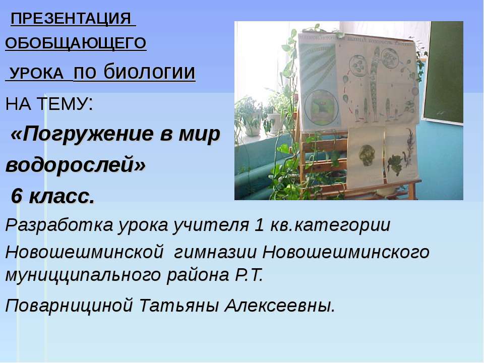 Погружение в мир водорослей 6 класс  - Скачать презентации бесплатно | Читать или скачать учебники для школы онлайн бесплатно ☑ Школьные учебники school-textbook.com
