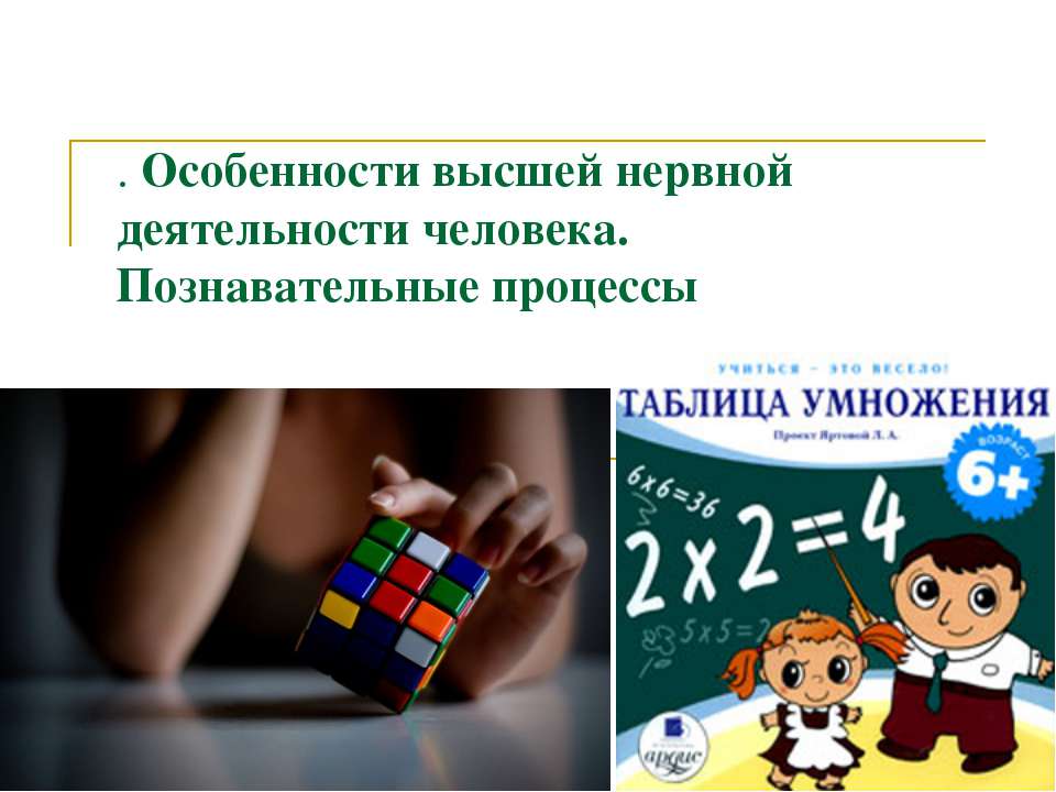 Особенности высшей нервной деятельности человека. Познавательные процессы  - Скачать презентации бесплатно | Читать или скачать учебники для школы онлайн бесплатно ☑ Школьные учебники school-textbook.com