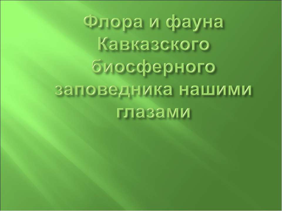 Флора и фауна Кавказского биосферного заповедника нашими глазами - Скачать презентации бесплатно ☑ Презентации по предметам на gdz-books.ru