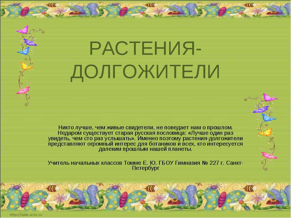Растения-Долгожители  - Скачать презентации бесплатно | Читать или скачать учебники для школы онлайн бесплатно ☑ Школьные учебники school-textbook.com