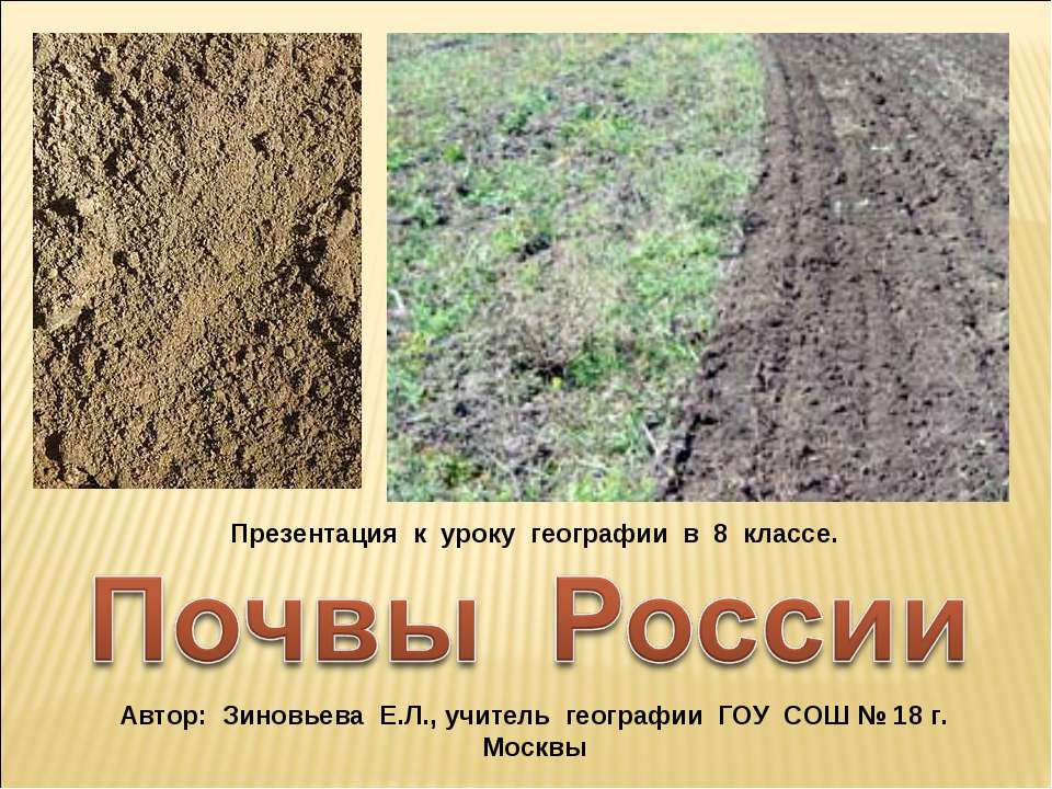 Почвы России  - Скачать презентации бесплатно | Читать или скачать учебники для школы онлайн бесплатно ☑ Школьные учебники school-textbook.com