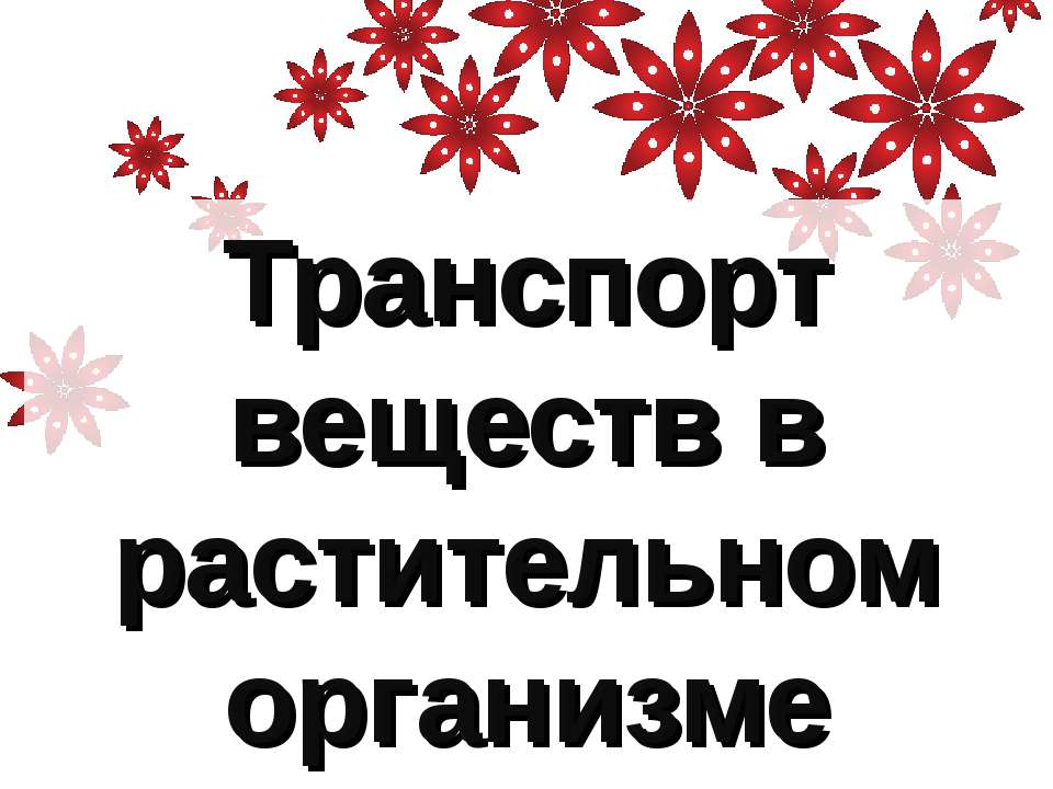 Транспорт веществ в растительном организме  - Скачать презентации бесплатно | Читать или скачать учебники для школы онлайн бесплатно ☑ Школьные учебники school-textbook.com