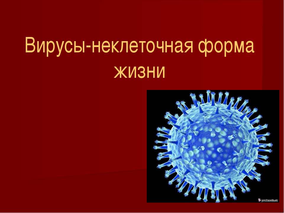 Вирусы-неклеточная форма жизни  - Скачать презентации бесплатно | Читать или скачать учебники для школы онлайн бесплатно ☑ Школьные учебники school-textbook.com