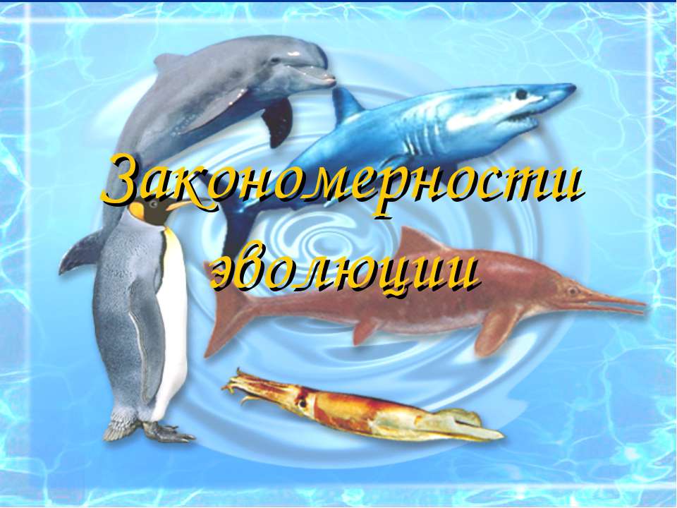 Закономерности эволюции - Скачать презентации бесплатно ☑ Презентации по предметам на gdz-books.ru