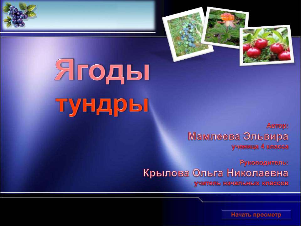 Ягоды тундры  - Скачать презентации бесплатно | Читать или скачать учебники для школы онлайн бесплатно ☑ Школьные учебники school-textbook.com
