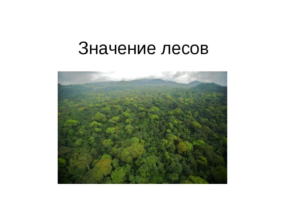 Значение лесов  - Скачать презентации бесплатно | Читать или скачать учебники для школы онлайн бесплатно ☑ Школьные учебники school-textbook.com