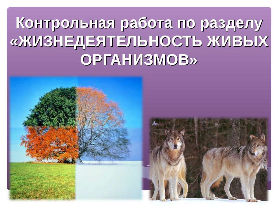 Жизнедеятельность живых организмов  - Скачать презентации бесплатно | Читать или скачать учебники для школы онлайн бесплатно ☑ Школьные учебники school-textbook.com