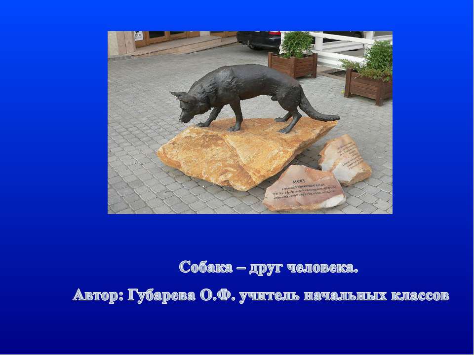Собака – друг человека  - Скачать презентации бесплатно | Читать или скачать учебники для школы онлайн бесплатно ☑ Школьные учебники school-textbook.com