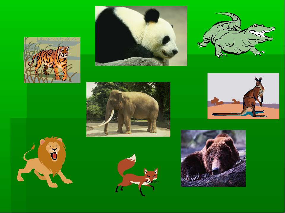 Wild animals  - Скачать презентации бесплатно | Читать или скачать учебники для школы онлайн бесплатно ☑ Школьные учебники school-textbook.com