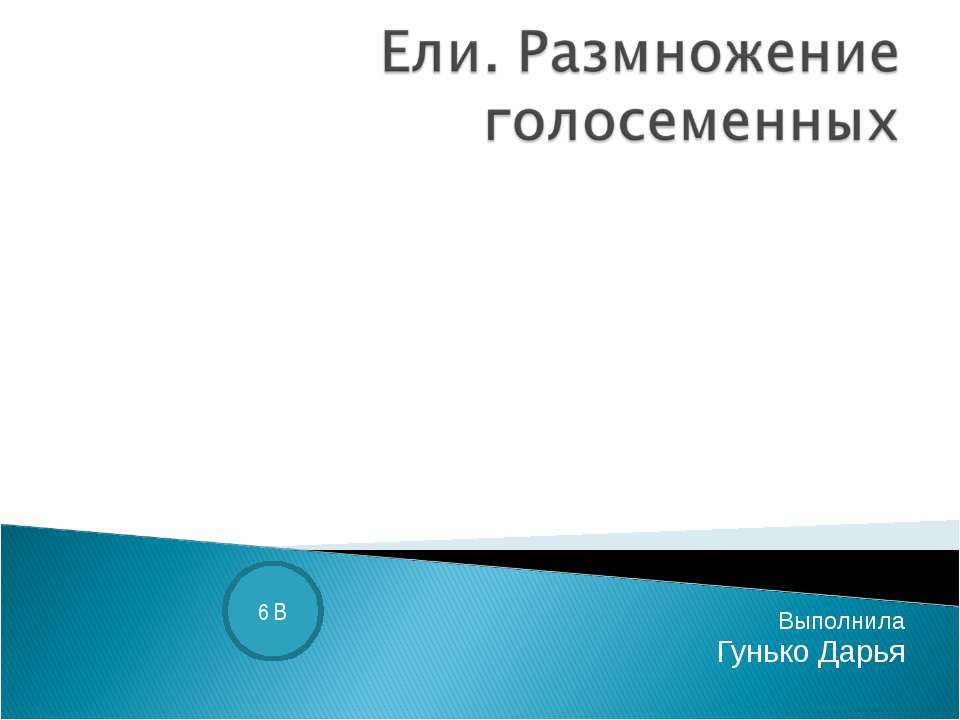 Ели. Размножение голосеменных - Скачать презентации бесплатно ☑ Презентации по предметам на gdz-books.ru