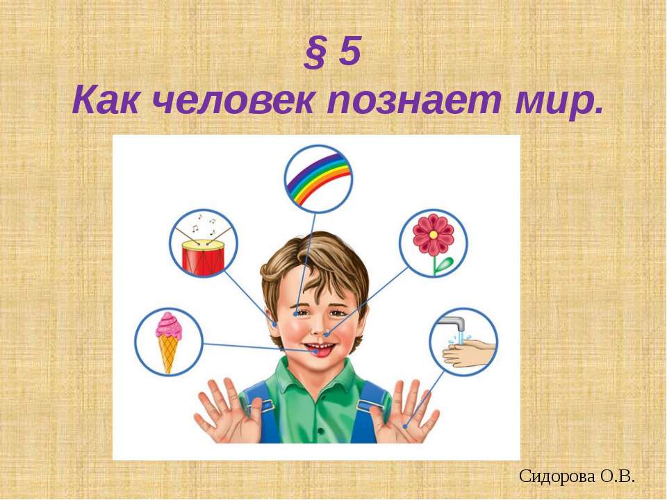 Как человек познает мир - Скачать презентации бесплатно ☑ Презентации по предметам на gdz-books.ru