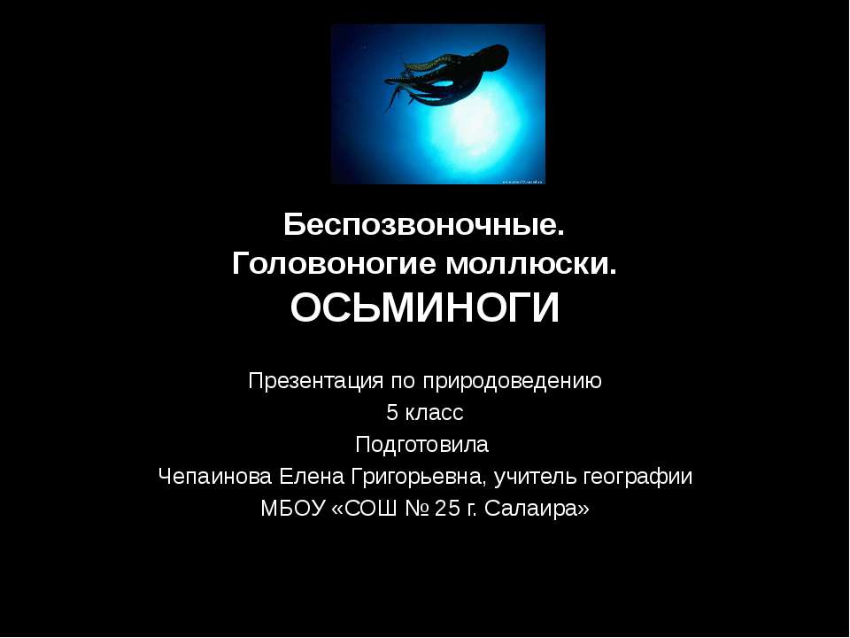 Беспозвоночные. Головоногие моллюски. Осьминоги  - Скачать презентации бесплатно | Читать или скачать учебники для школы онлайн бесплатно ☑ Школьные учебники school-textbook.com