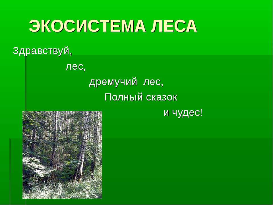 Экосистема леса  - Скачать презентации бесплатно | Читать или скачать учебники для школы онлайн бесплатно ☑ Школьные учебники school-textbook.com
