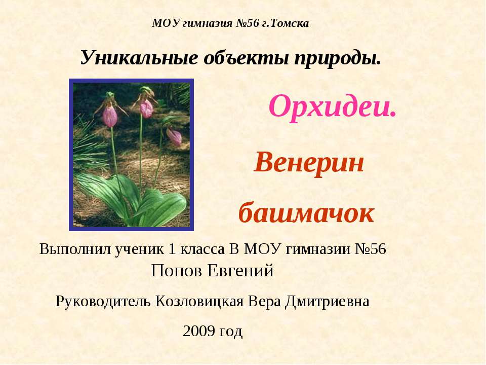 Орхидеи. Венерин башмачок - Скачать презентации бесплатно ☑ Презентации по предметам на gdz-books.ru
