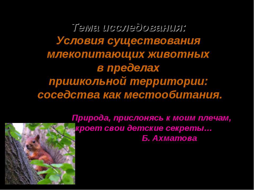 Условия существования млекопитающих животных в пределах пришкольной территории: соседства как местообитания  - Скачать презентации бесплатно | Читать или скачать учебники для школы онлайн бесплатно ☑ Школьные учебники school-textbook.com