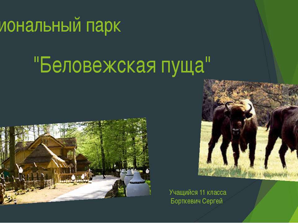 Национальный парк Беловежская пуща  - Скачать презентации бесплатно | Читать или скачать учебники для школы онлайн бесплатно ☑ Школьные учебники school-textbook.com