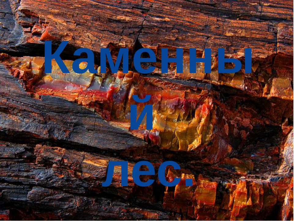 Каменный лес - Скачать презентации бесплатно ☑ Презентации по предметам на gdz-books.ru