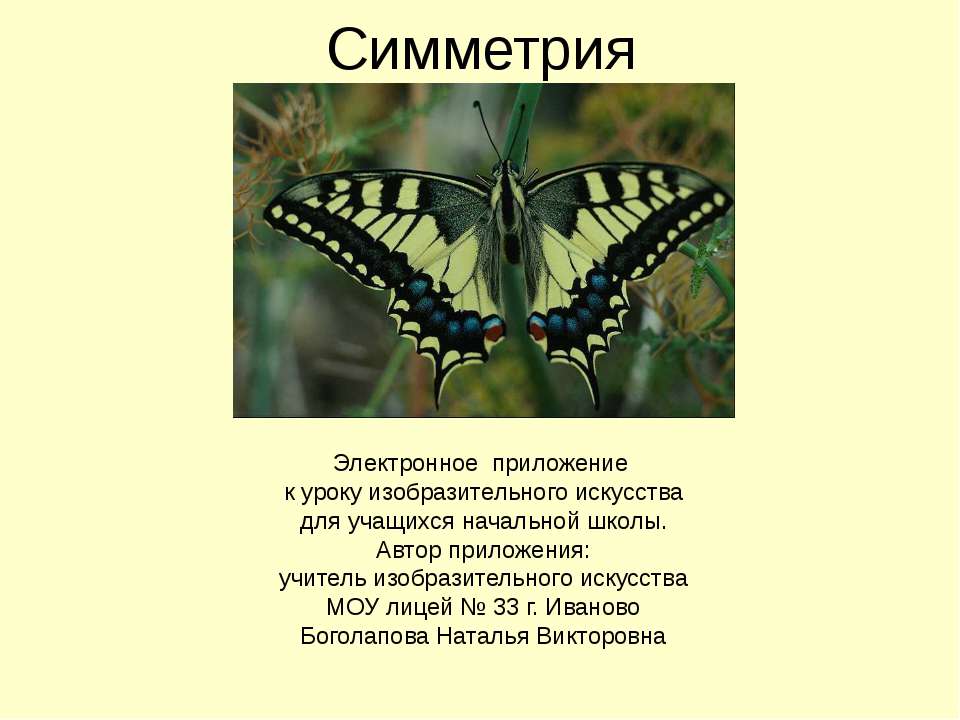 Симметрия - Скачать презентации бесплатно ☑ Презентации по предметам на gdz-books.ru