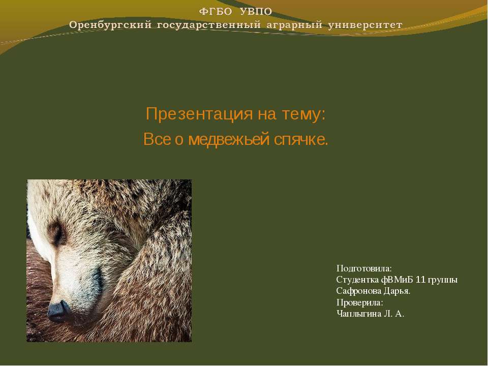 Все о медвежьей спячке - Скачать презентации бесплатно ☑ Презентации по предметам на gdz-books.ru