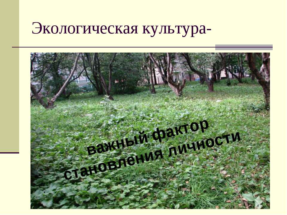 Экологическая культура-важный фактор становления личности - Скачать презентации бесплатно ☑ Презентации по предметам на gdz-books.ru