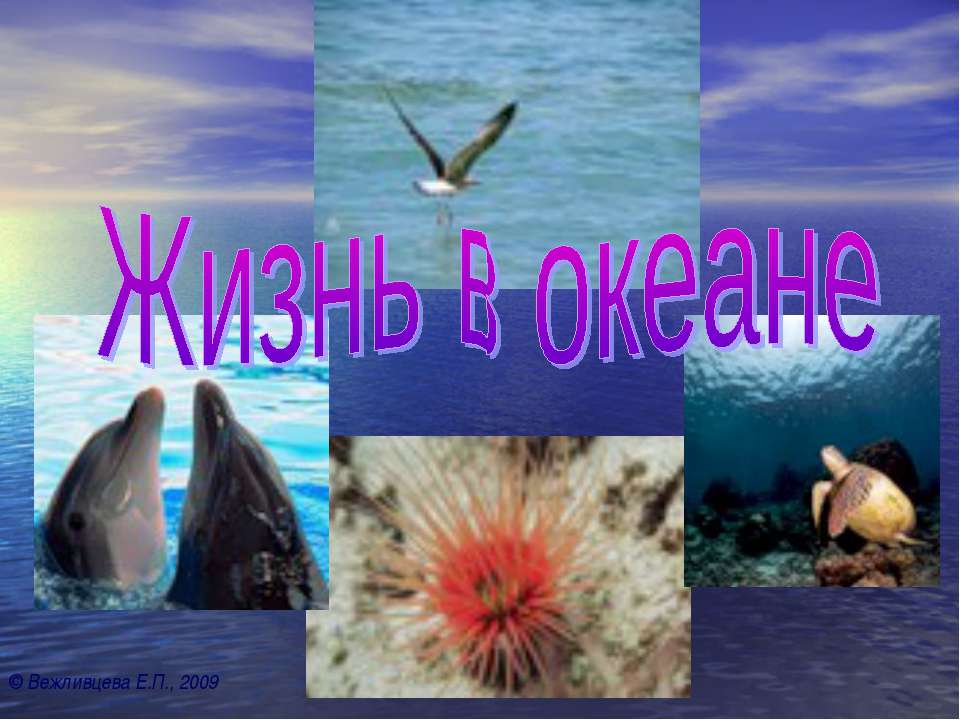 Жизнь в океане 7 класс - Скачать презентации бесплатно ☑ Презентации по предметам на gdz-books.ru