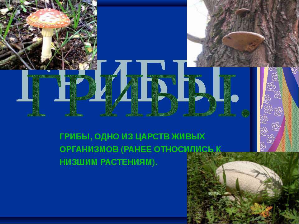 ГРИБЫ 5 класс - Скачать презентации бесплатно ☑ Презентации по предметам на gdz-books.ru