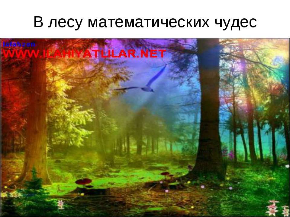 В лесу математических чудес - Скачать презентации бесплатно ☑ Презентации по предметам на gdz-books.ru