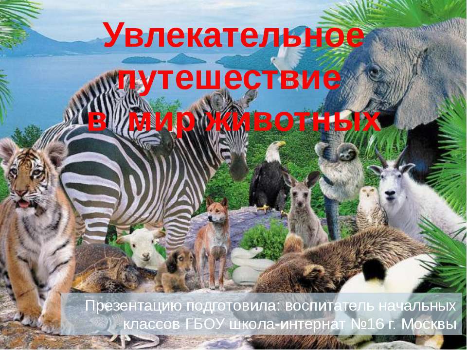 Увлекательное путешествие в мир животных  - Скачать презентации бесплатно | Читать или скачать учебники для школы онлайн бесплатно ☑ Школьные учебники school-textbook.com