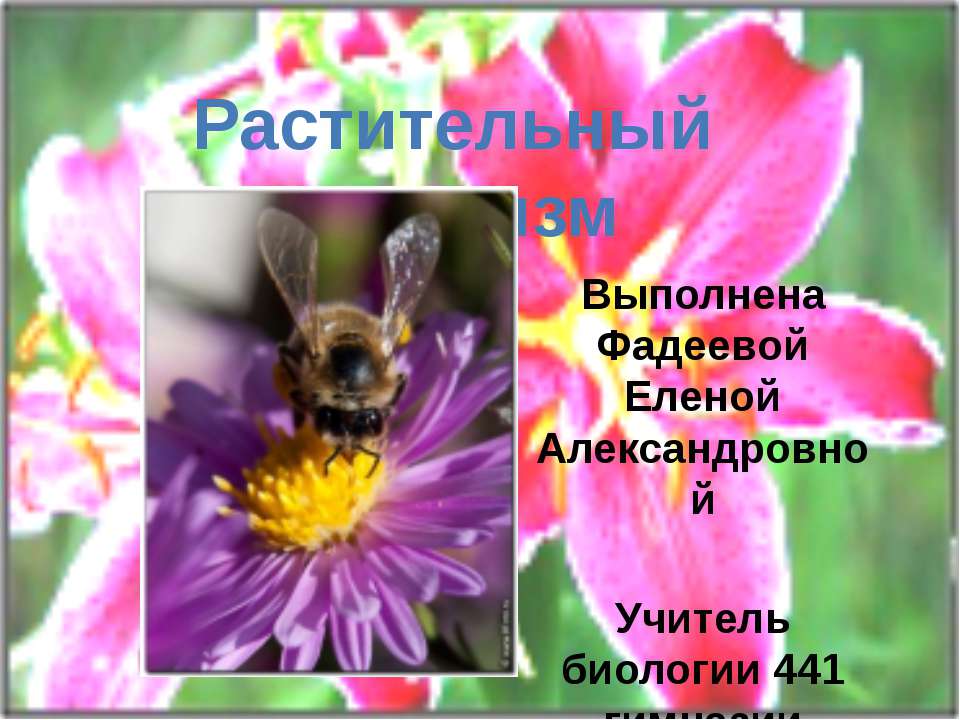 Растительный организм - Скачать презентации бесплатно ☑ Презентации по предметам на gdz-books.ru