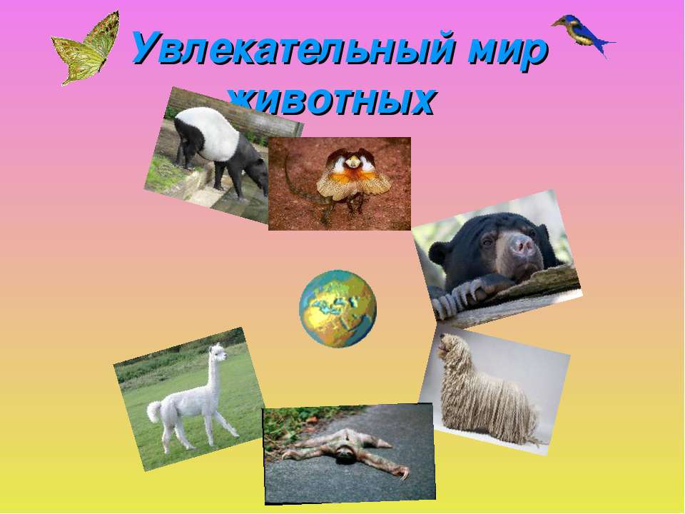 Увлекательный мир животных - Скачать презентации бесплатно ☑ Презентации по предметам на gdz-books.ru
