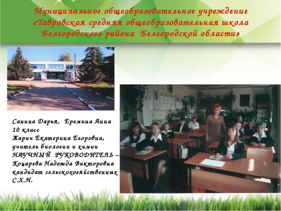 Изучение влияния подкормки на морфологические и декоративные свойства петунии гибридной  - Скачать презентации бесплатно | Читать или скачать учебники для школы онлайн бесплатно ☑ Школьные учебники school-textbook.com