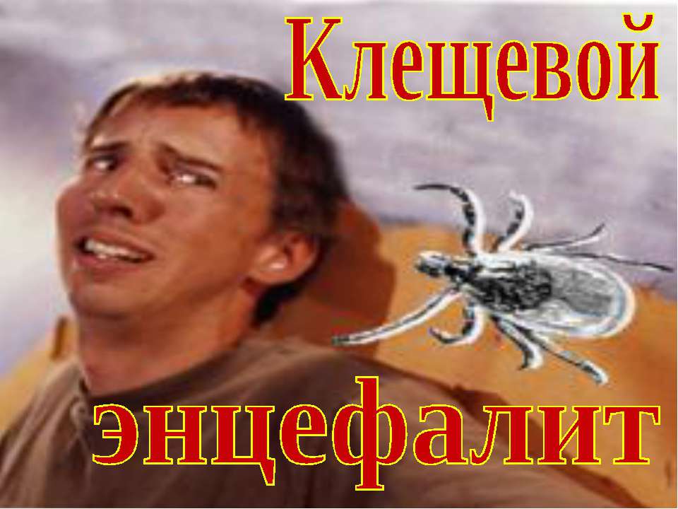 Клещевой энцефалит - Скачать презентации бесплатно ☑ Презентации по предметам на gdz-books.ru