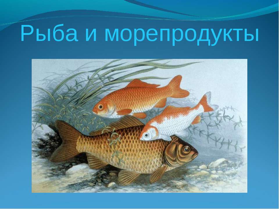 Рыба и морепродукты - Скачать презентации бесплатно ☑ Презентации по предметам на gdz-books.ru