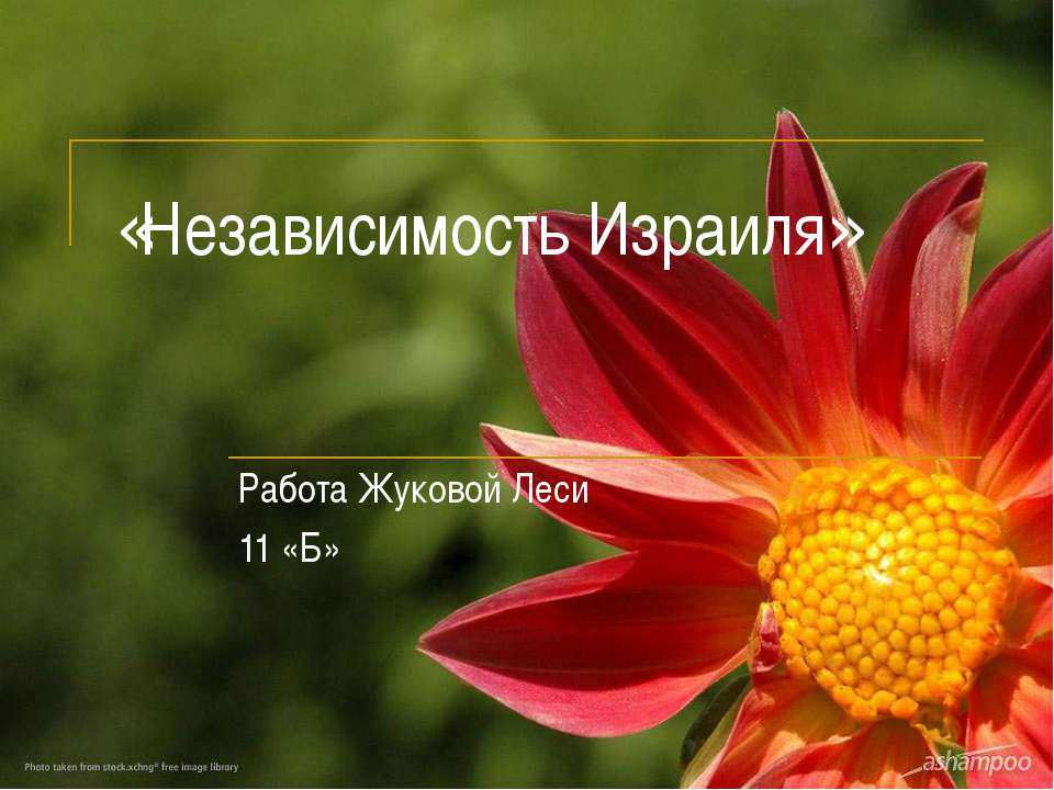 Независимость Израиля  - Скачать презентации бесплатно | Читать или скачать учебники для школы онлайн бесплатно ☑ Школьные учебники school-textbook.com