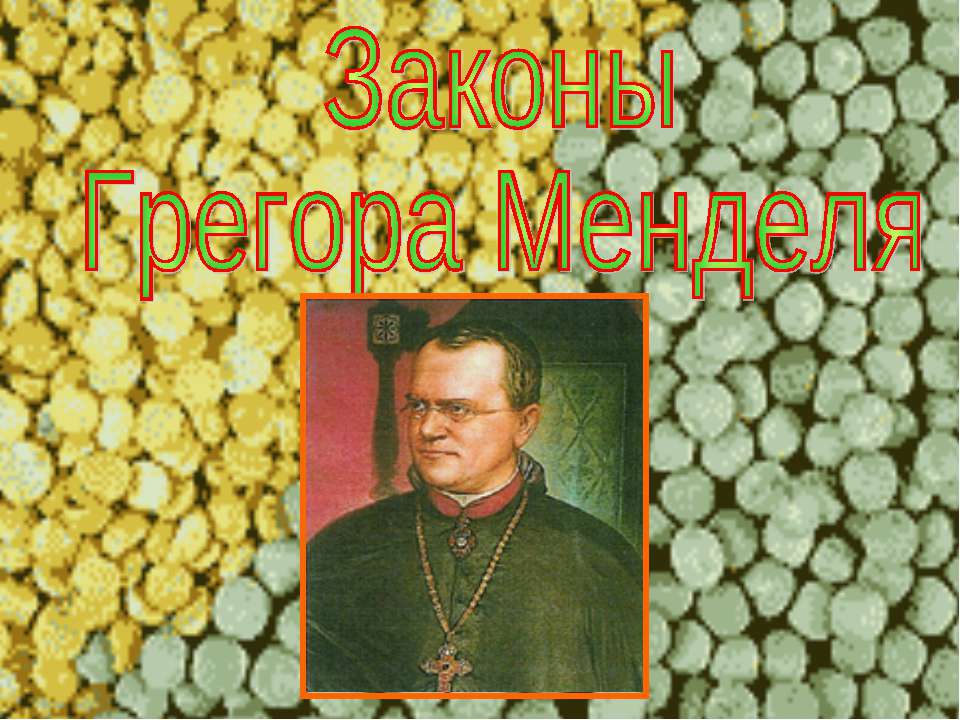 Законы Грегора Менделя  - Скачать презентации бесплатно | Читать или скачать учебники для школы онлайн бесплатно ☑ Школьные учебники school-textbook.com
