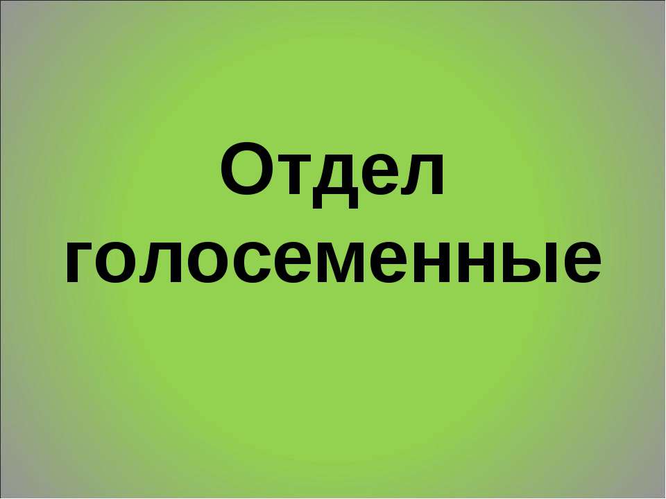 Отдел голосеменные 6 класс  - Скачать презентации бесплатно | Читать или скачать учебники для школы онлайн бесплатно ☑ Школьные учебники school-textbook.com