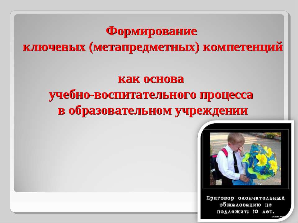 Формирование ключевых (метапредметных) компетенций как основа учебно-воспитательного процесса в образовательном учреждении  - Скачать презентации бесплатно | Читать или скачать учебники для школы онлайн бесплатно ☑ Школьные учебники school-textbook.com