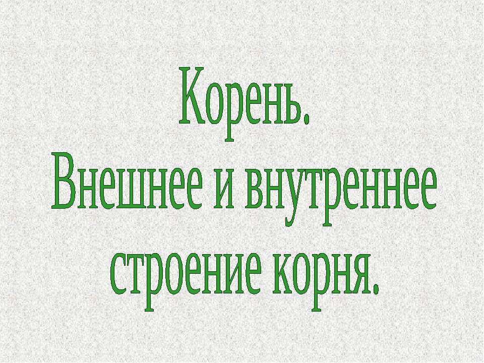 Корень. Внешнее и внутреннее строение корня  - Скачать презентации бесплатно | Читать или скачать учебники для школы онлайн бесплатно ☑ Школьные учебники school-textbook.com