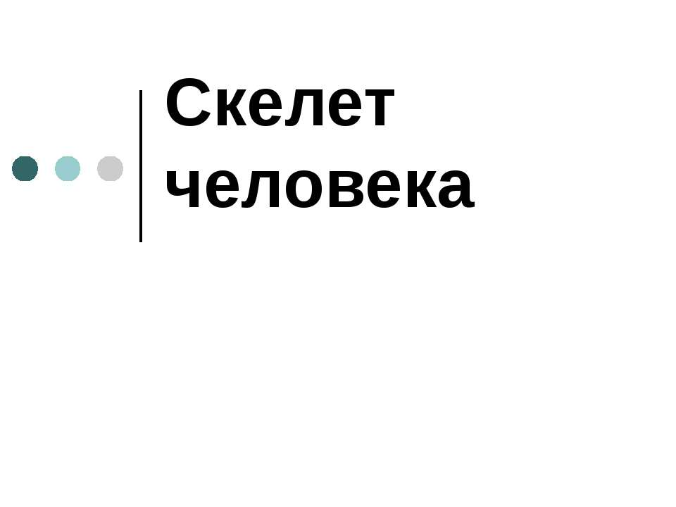 Скелет человека 8 класс - Скачать презентации бесплатно ☑ Презентации по предметам на gdz-books.ru