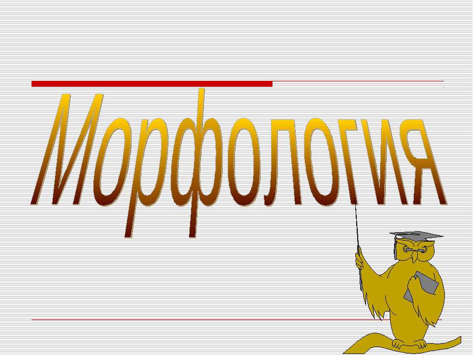Морфология - Скачать презентации бесплатно ☑ Презентации по предметам на gdz-books.ru